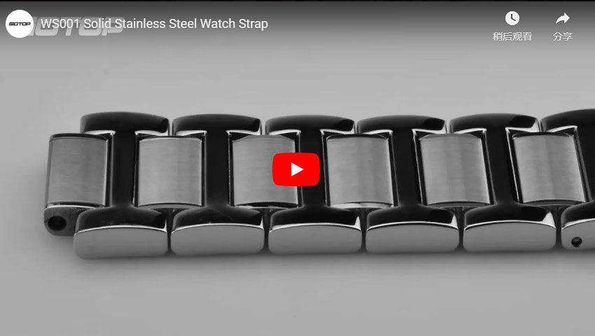 WS001 Solid Stainless Steel Watch Strap