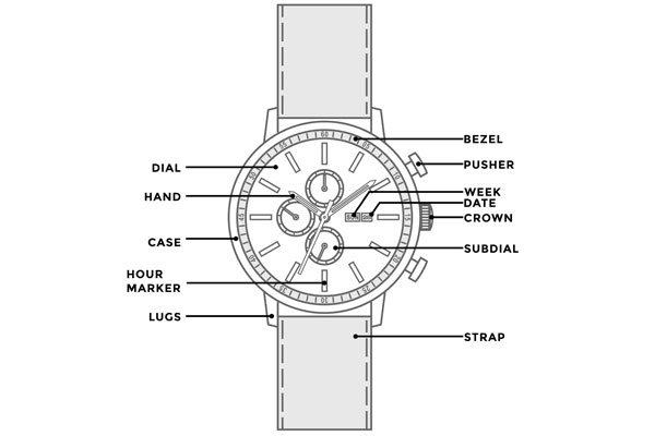 10 Parts of a Watch You Should Actually Know