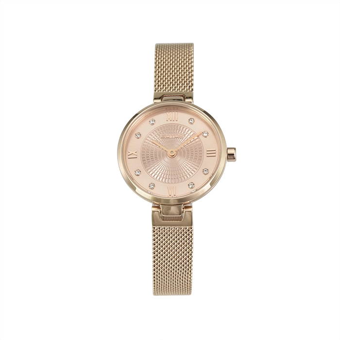 Slider Buckle Watch for Woman